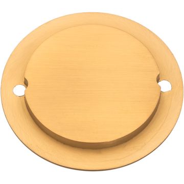 Backplate 'Union' cc47,5 Brushed Brass