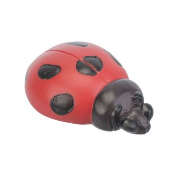 Children Knob 'Kid Line' Ladybug
