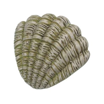 Children Knob 'Kid Line' Clam