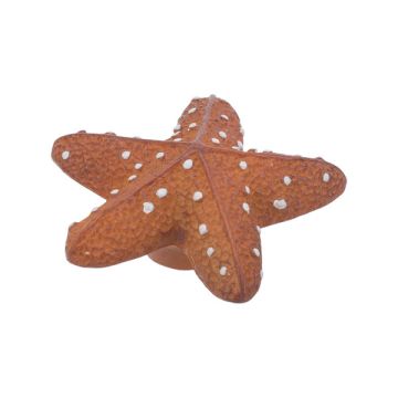 Children Knob 'Kid Line' Starfish