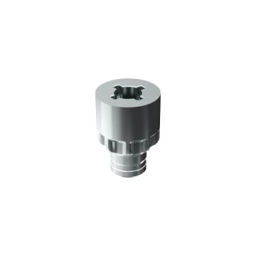 Pinion screw 'Target' J12 25 mm