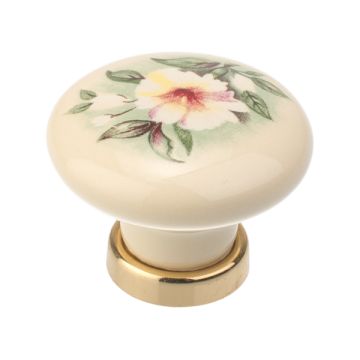 Porcelain Knob "Roma" Ivory / Polished Brass